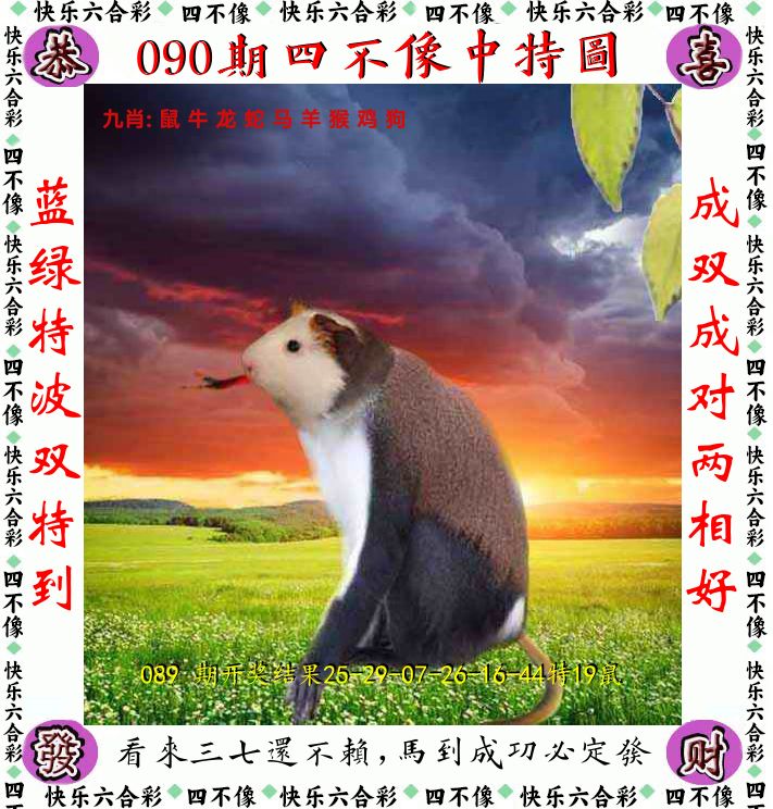 四不像 第90期