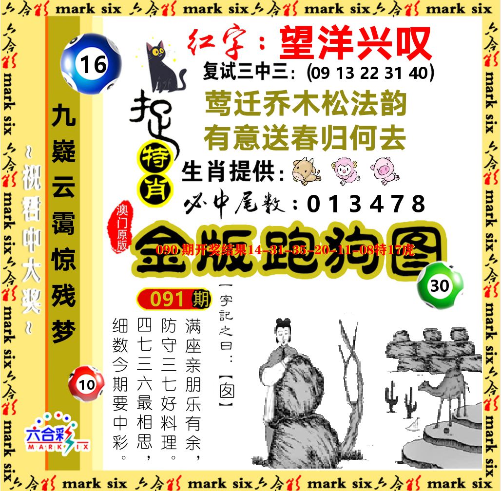 金版跑狗图 第91期