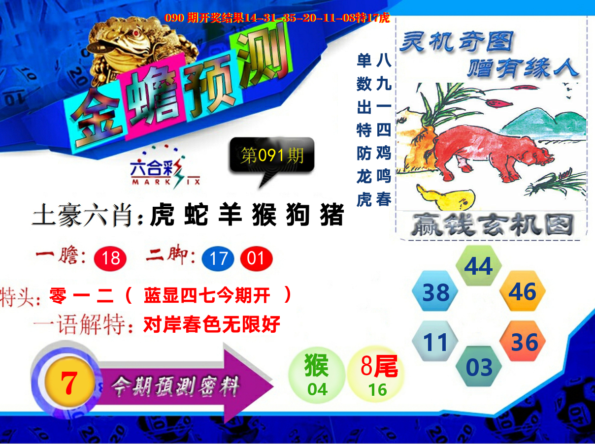 金蟾预测 第91期