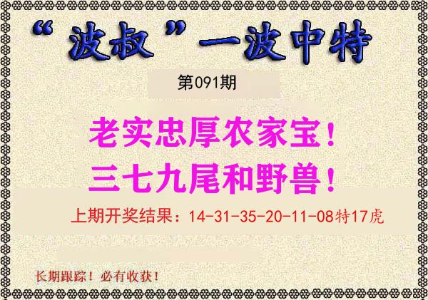 波叔中特 第91期