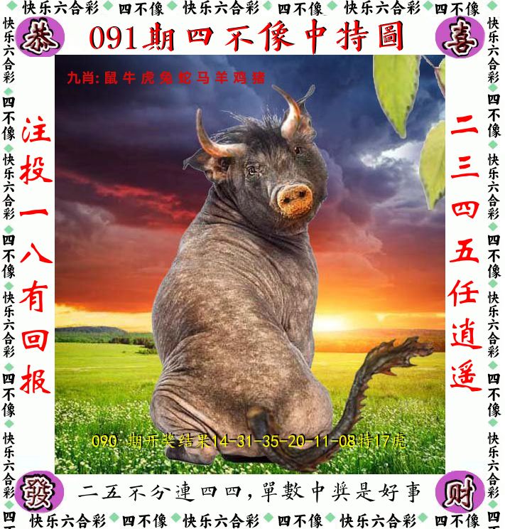 四不像 第91期