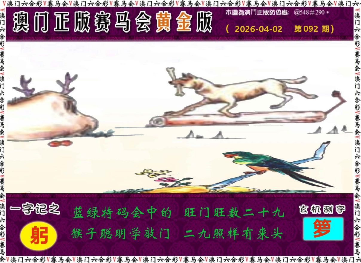 赛马会黄金版 第92期