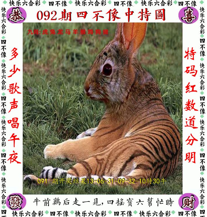 四不像 第92期