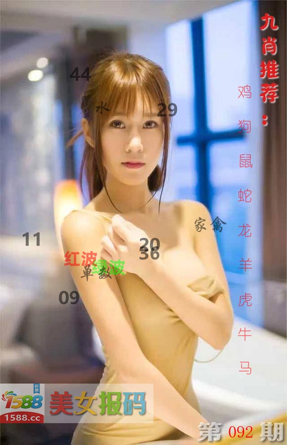 美女报码 第92期