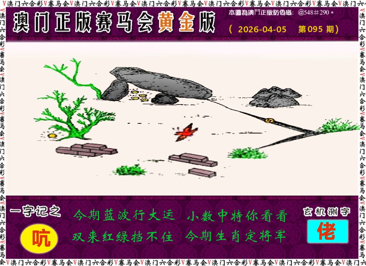 赛马会黄金版 第95期