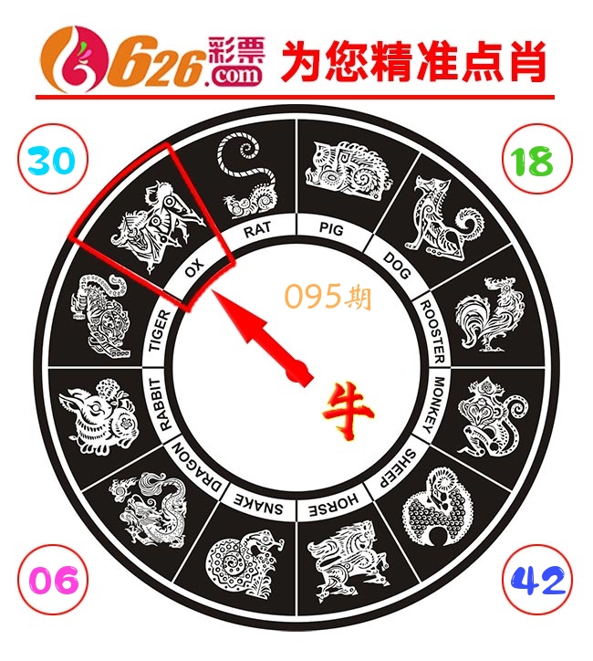 精准点肖 第95期