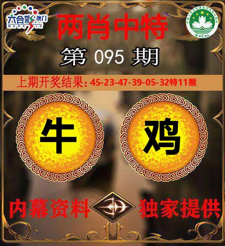 两肖中特 第95期