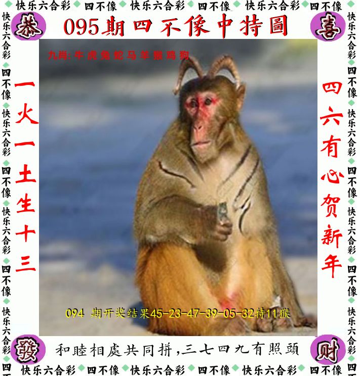 四不像 第95期