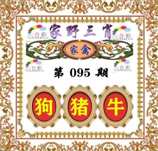 家野三肖 第95期