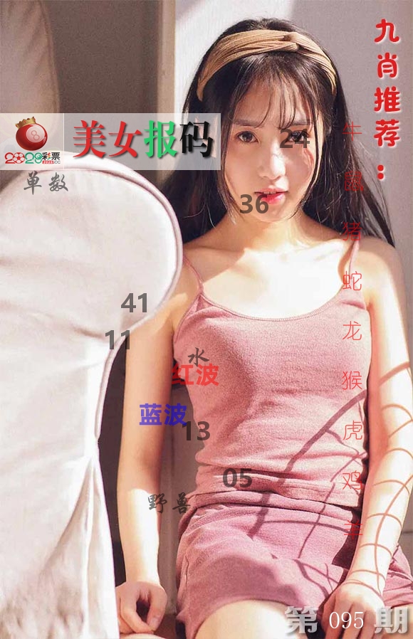 美女报码 第95期