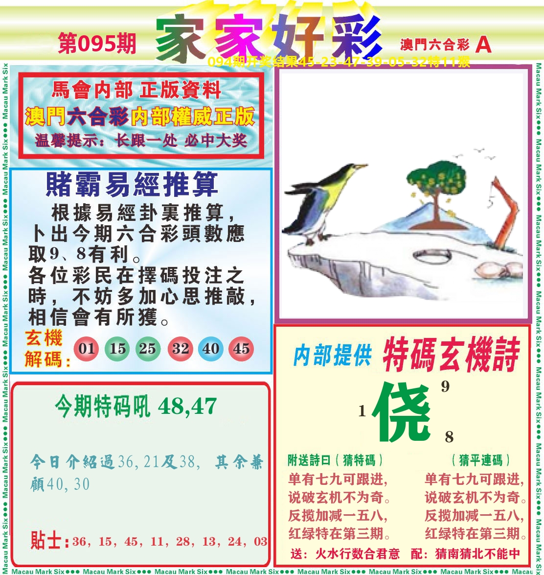家家好彩A 第95期