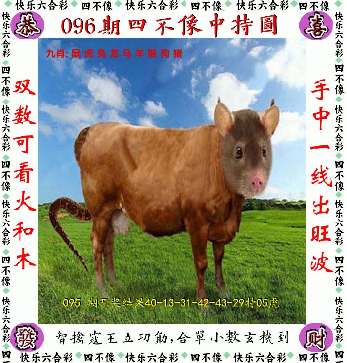 四不像 第96期