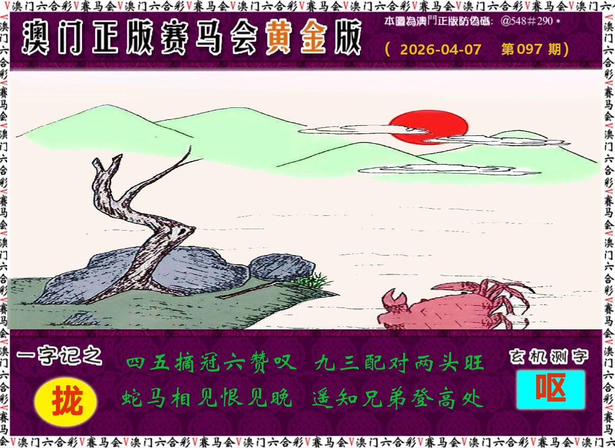 赛马会黄金版 第97期