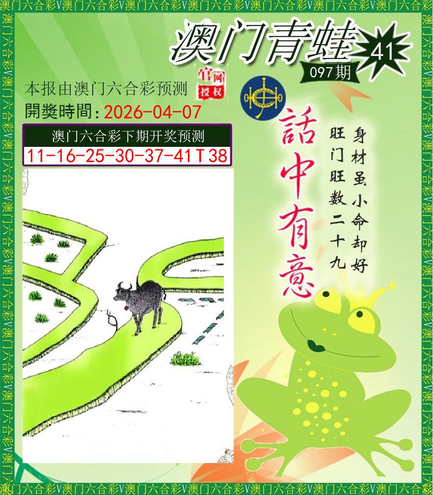 青蛙系列43 第97期