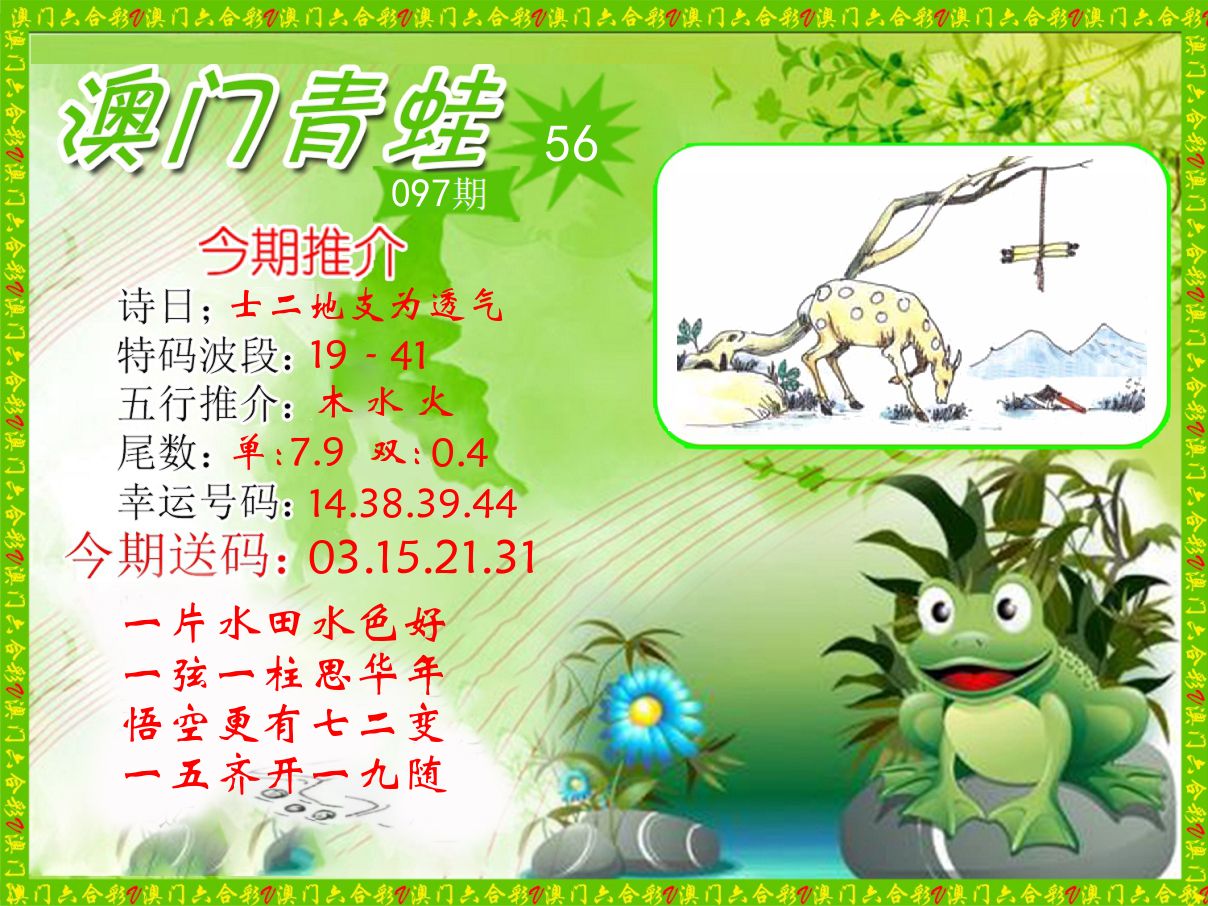 青蛙系列56 第97期