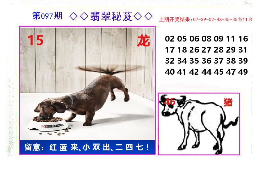 翡翠秘芨 第97期
