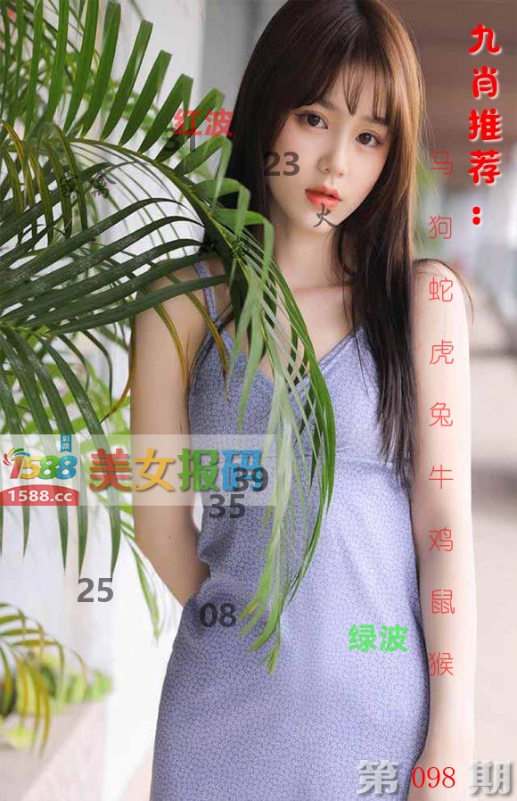美女报码 第98期