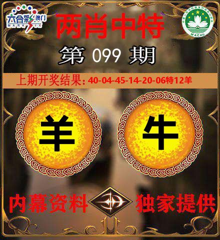 两肖中特 第99期