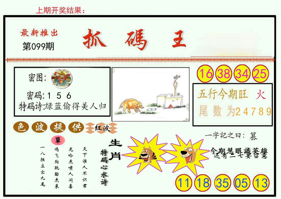 最新抓码王 第99期