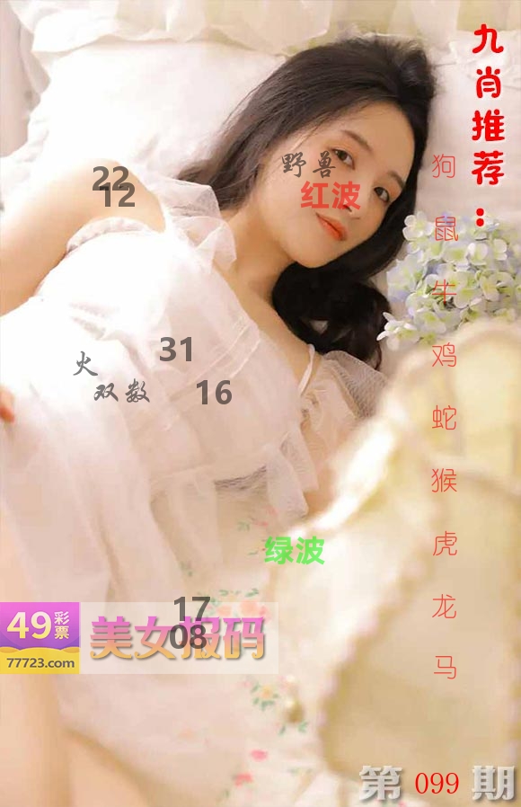 美女报码 第99期