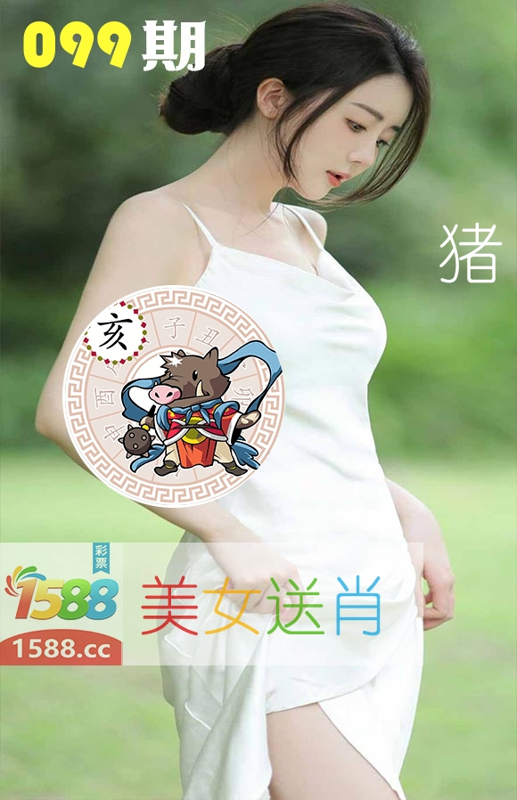 美女送肖 第99期